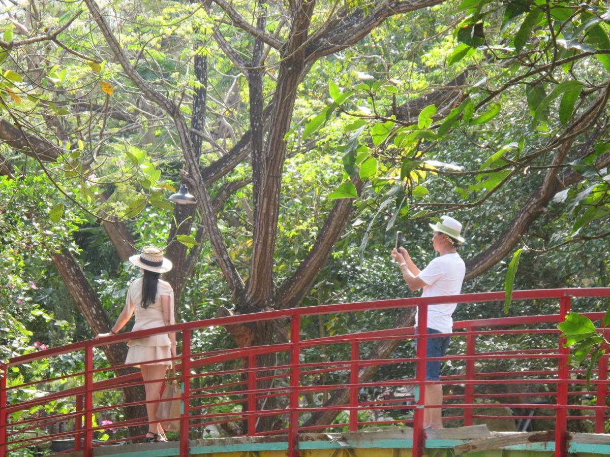 Hoang Lan Villa - Suoi Luong - Hai Van Park Da Nang Dış mekan fotoğraf